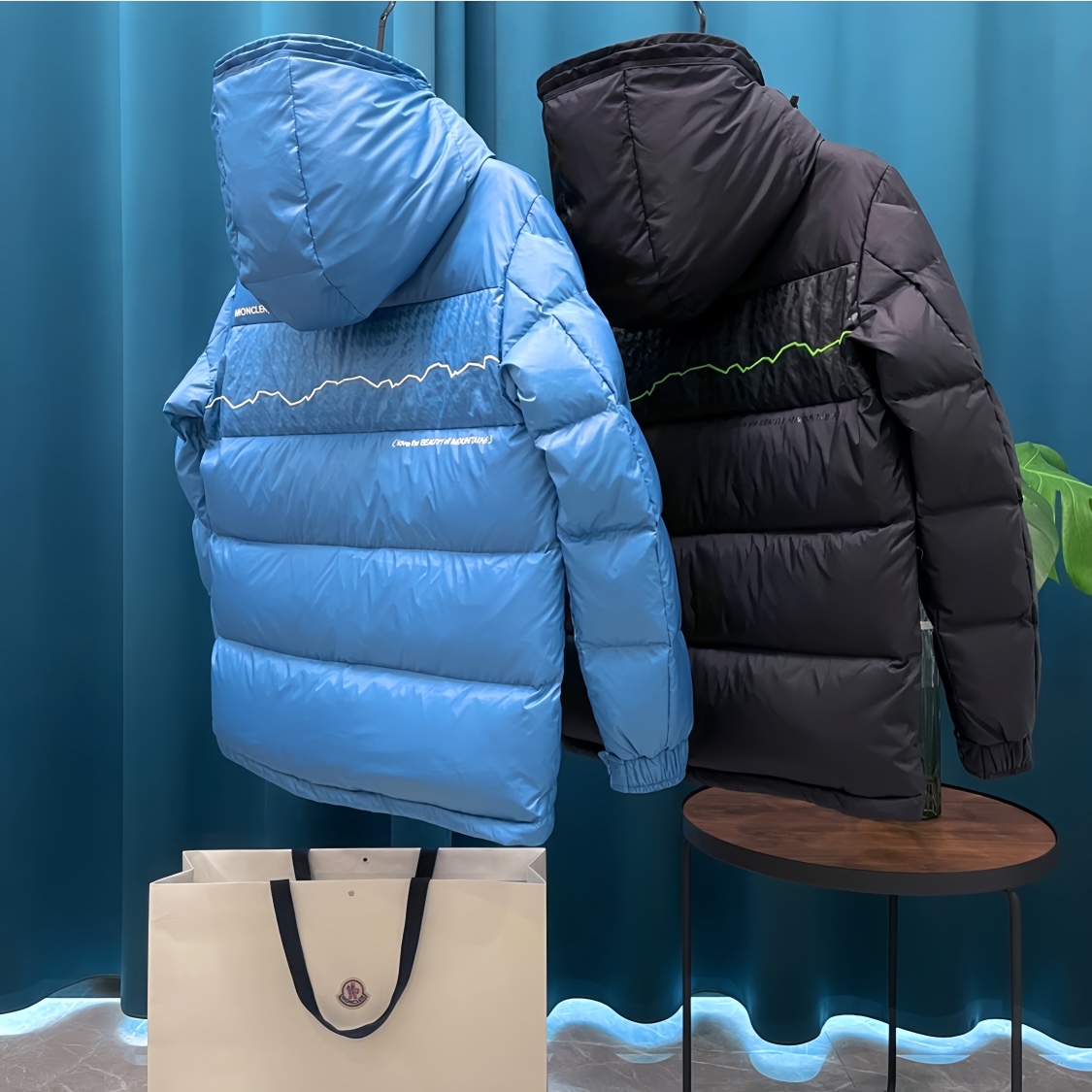 Moncler Down Jackets